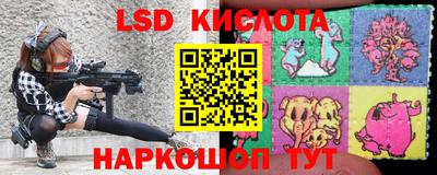 ПСИЛОЦИБИНОВЫЕ ГРИБЫ Заводоуковск