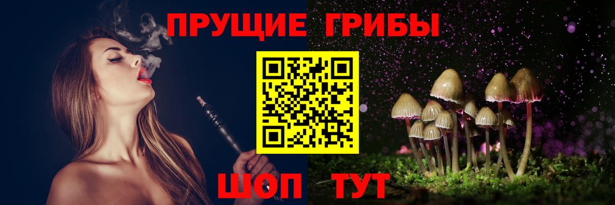  COCAIN Лесной